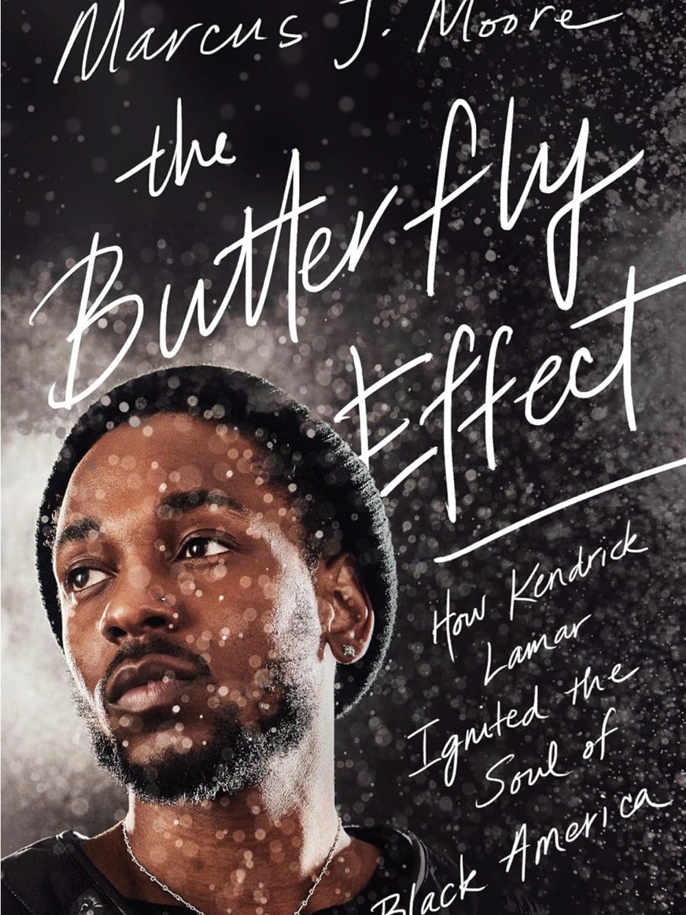 The Butterfly Effect Book paperback